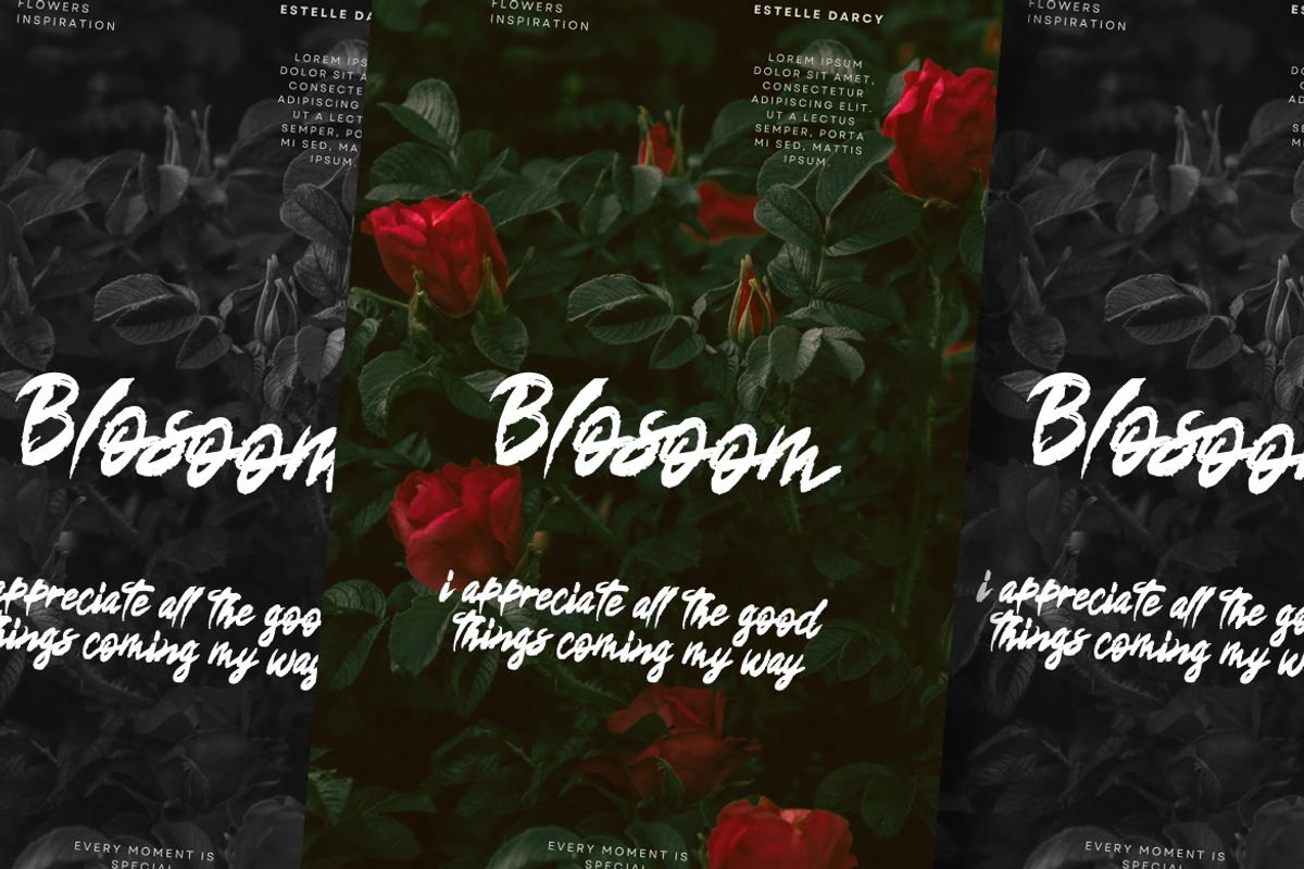 Saftoesa - Brush Font, a Handwritten Font by Dhabee (Photo 13 of 14)