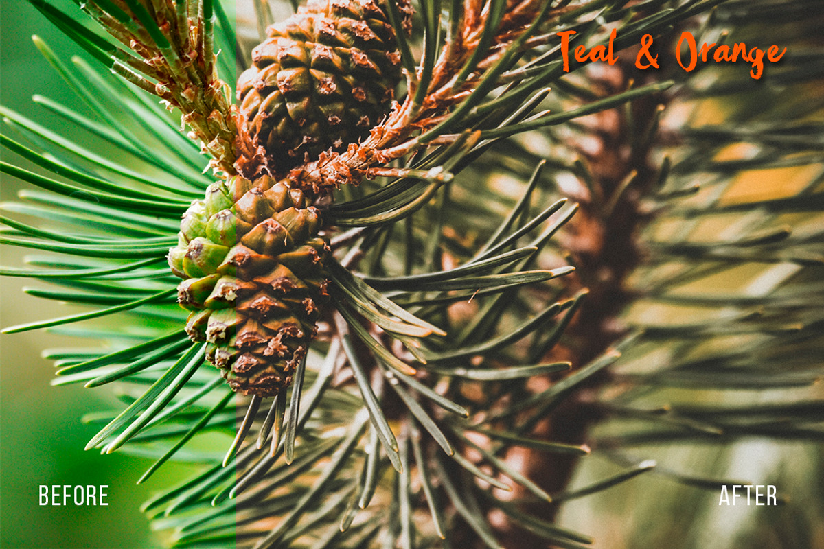TEAL & ORANGE Lightroom presets preview 7