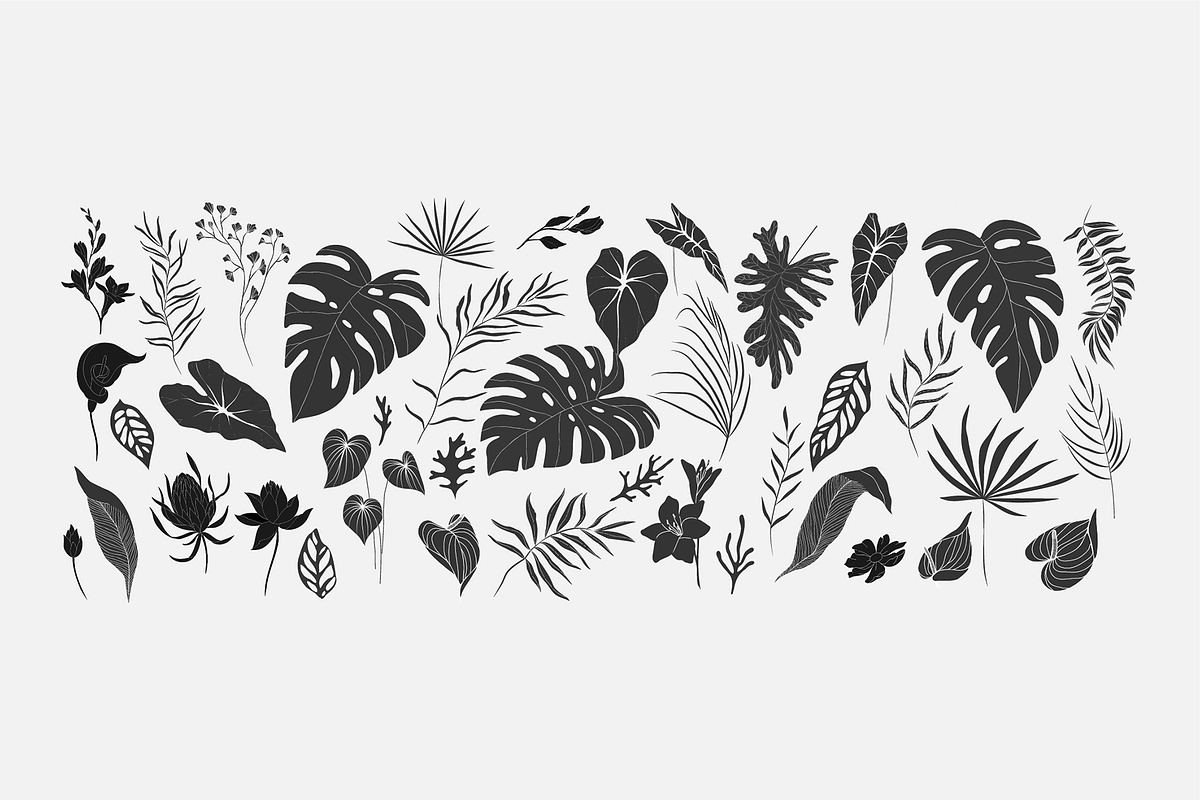 Tropical collection, a Decorative Illustration by Merfin (Photo 8 of 10)