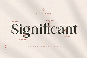 Clust - Modern Serif Elegant