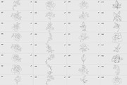 Procreate flower stamp, roses brush, a Brush Add-On by AnnaPolitmerskaja (Thumbnail 2 of 4)