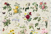 Vintage Botanical Charm Collage Pack, an Object Graphic by lerinartstudio (Thumbnail 7 of 14)