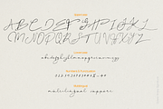 Ocean Vinley Signature, a Handwritten Font by madeDeduk (Thumbnail 9 of 10)