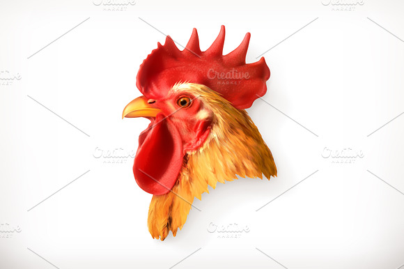 Rooster Head Vector Icon