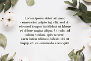 Sonder Serif Typeface - 5 weights, a Serif Font by VP Fonts (Thumbnail 7 of 9)