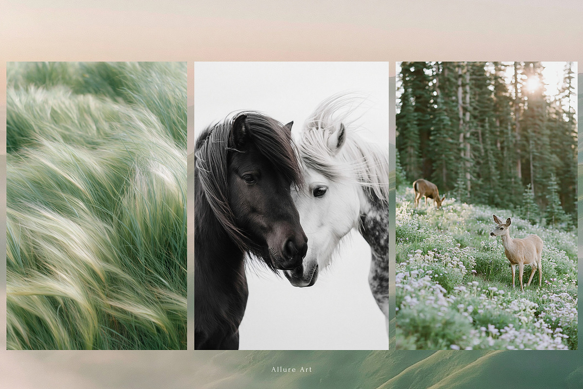 230 Sage Green Stock Images Bundle, a Beauty & Fashion Photo by Allure Art (Photo 14 of 33)