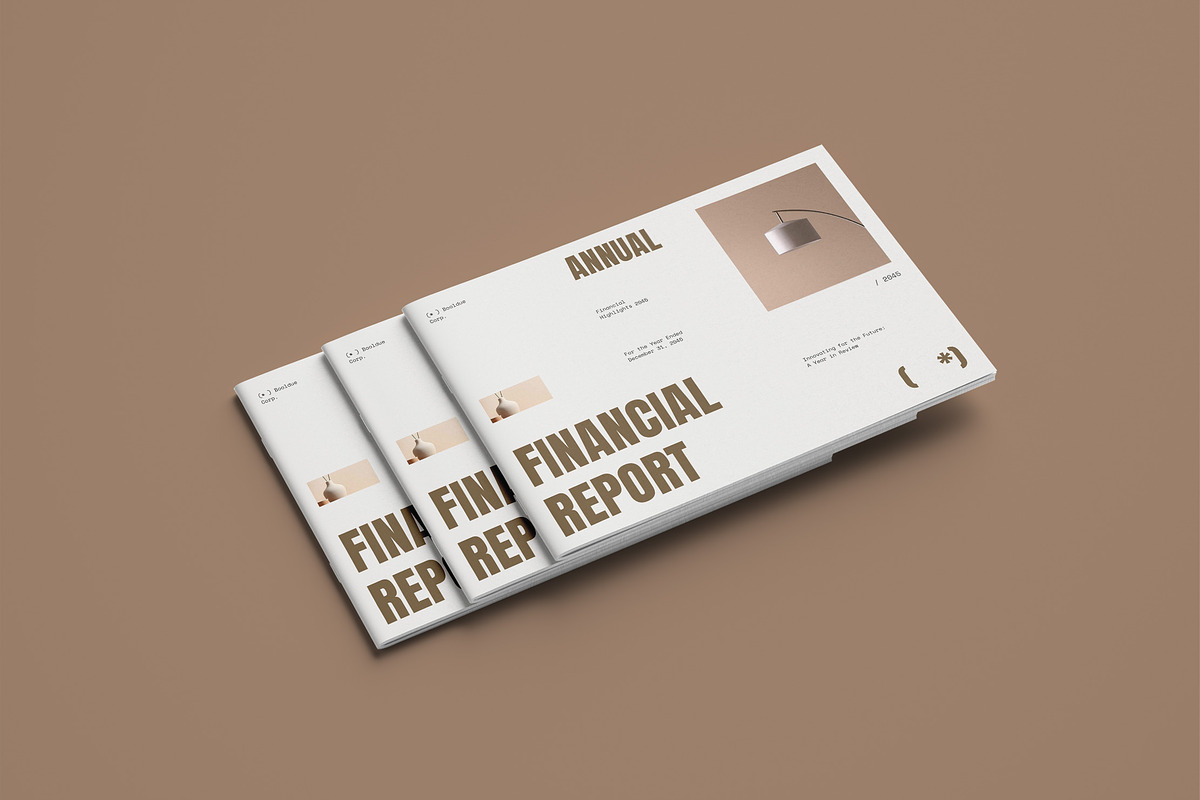 Annual Financial Report - Booldue preview 6