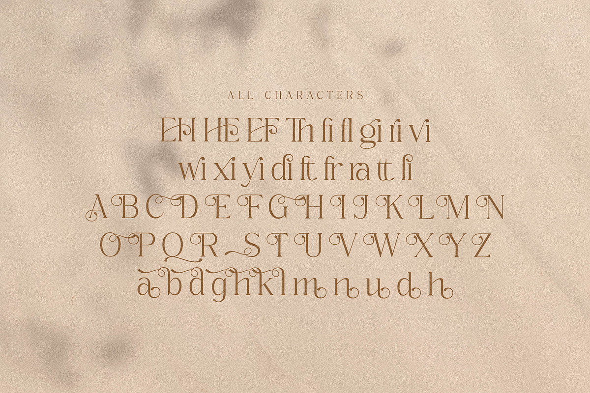 Qeraldin Stylish Modern Serif Font, a Serif Font by Storytype Studio (Photo 14 of 15)