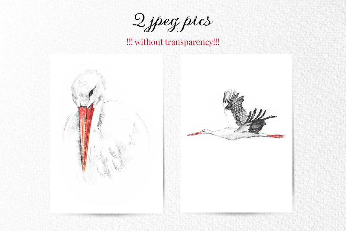 All about storks. 8 items, an Animal Illustration by Art by Lady Natali (Photo 3 of 3)