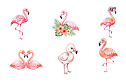 Watercolor Flamingos Clipart, an Animal Illustration by BerryPieArt (Thumbnail 2 of 4)