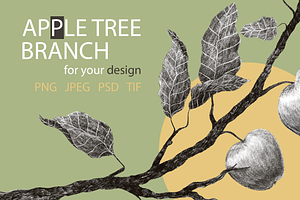 APPLE TREE BRANCH Pencil Drawing, a Background Graphic by Nastya Draws