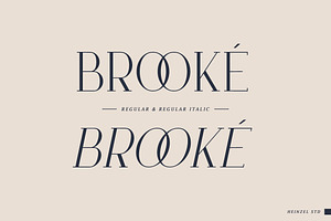 Brook - Modern And Elegant Serif