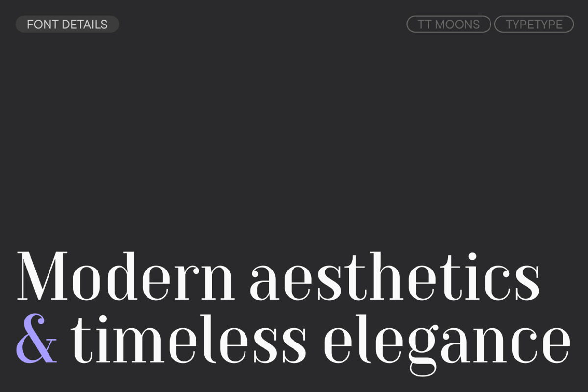TT Moons, a Serif Font by TypeType (Photo 3 of 12)