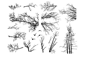 Naked trees silhouettes set. Hand, an Object Illustration by Nenahliadava Design