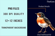 Autumn American Robin Bird Clipart, an Illustration by SinaCreation (Thumbnail 4 of 5)