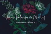 Belmont Script - 54 Ligatures!, a Script Font by Greg Nicholls (Thumbnail 6 of 11)