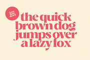 True Rose - Decorative Retro Serif, a Serif Font by creativemedialab (Thumbnail 3 of 12)