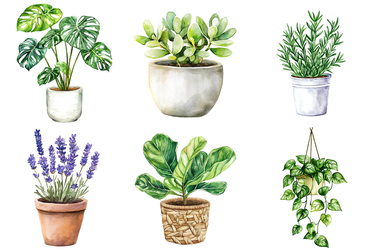 Potted Plants Clipart Bundle, an Illustration by cherrydesign (Photo 3 of 3)