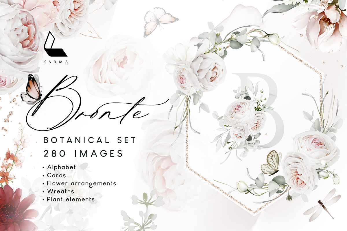 Bronte | Botanical set | 280+ images, an Illustration by Karma (Photo 1 of 39)