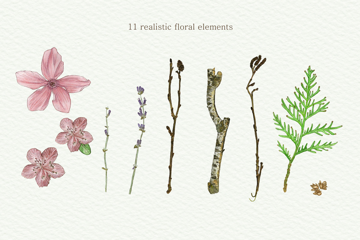 Botanical Watercolor, an Illustration by Jukari_sun (Photo 2 of 4)