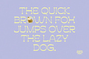 Kicked Display, a Slab Serif Font by Prioritype Co (Thumbnail 5 of 10)