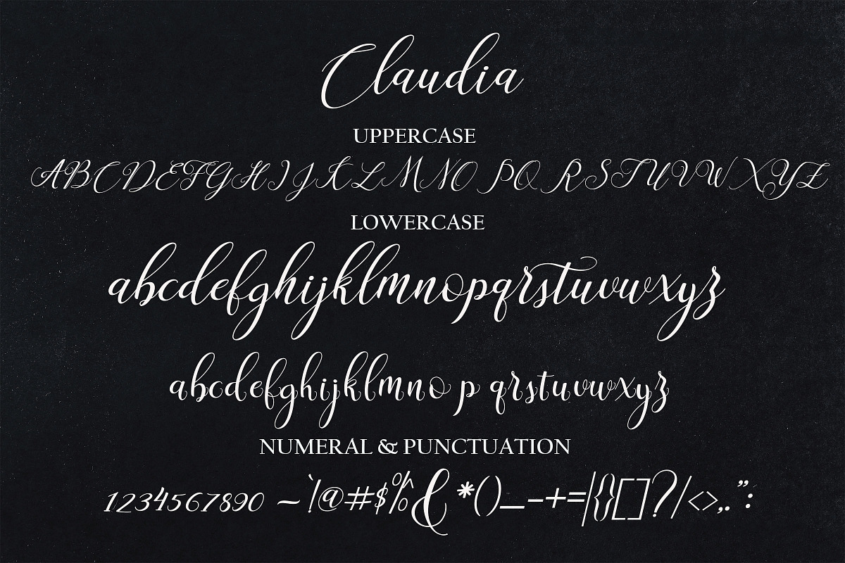 Claudia Script preview 6