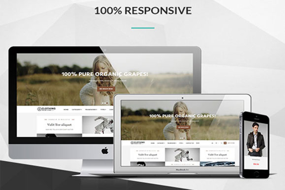 Prestashop Theme, a Bootstrap Template by LeoTheme (Photo 2 of 6)