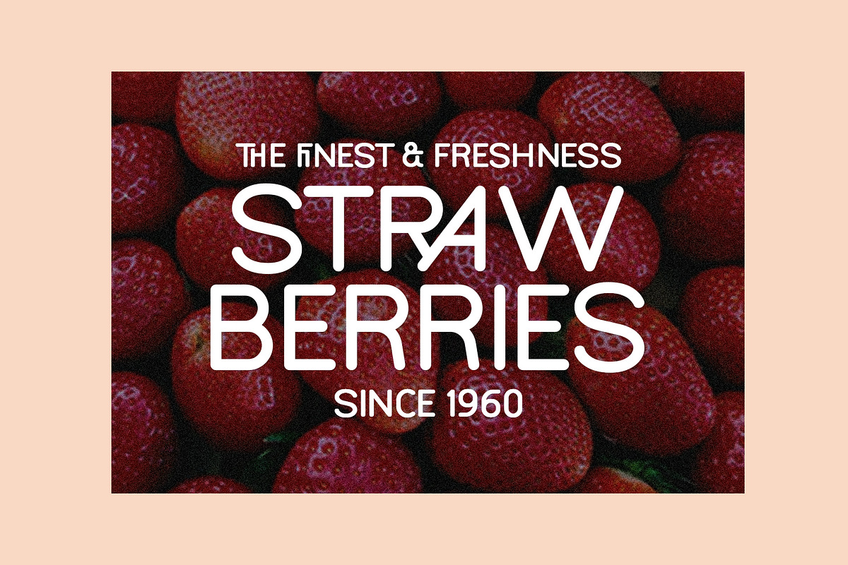 Bookochi Rounded Display Sans Serif, a Sans Serif Font by Designsation (Photo 9 of 10)