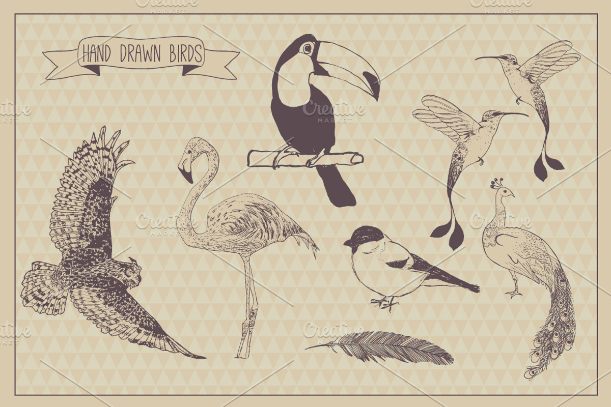 Birds collection. Hand illustrate, an Object Illustration by Julia Bilenko