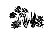 Minimal Botanical Leaf Silhouette Bu, an Illustration by Creativeshirt (Thumbnail 36 of 51)