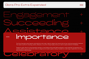 ZT Glora Pro - Variable / 56 Fonts, a Sans Serif Font by zelow type (Thumbnail 10 of 15)