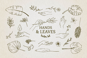 Hands, Leaves Vector Illustrations