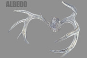 Deer Horns, an Animal 3D Model by Beatheart Creative Studio (Thumbnail 4 of 17)