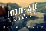 Survival Icons - 10, an Icon by The Warehouse (Thumbnail 1 of 2)