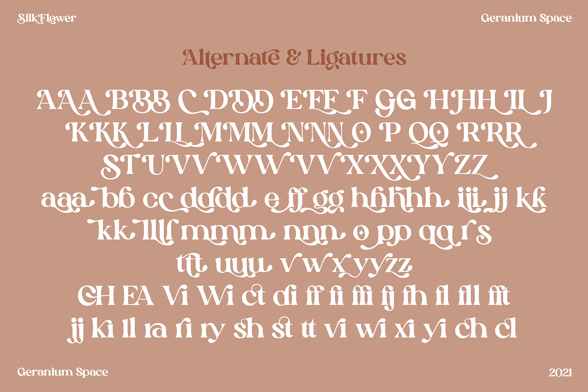 Silk Flower - Modern Serif, a Serif Font by Megi Satyo Widodo (Photo 24 of 26)