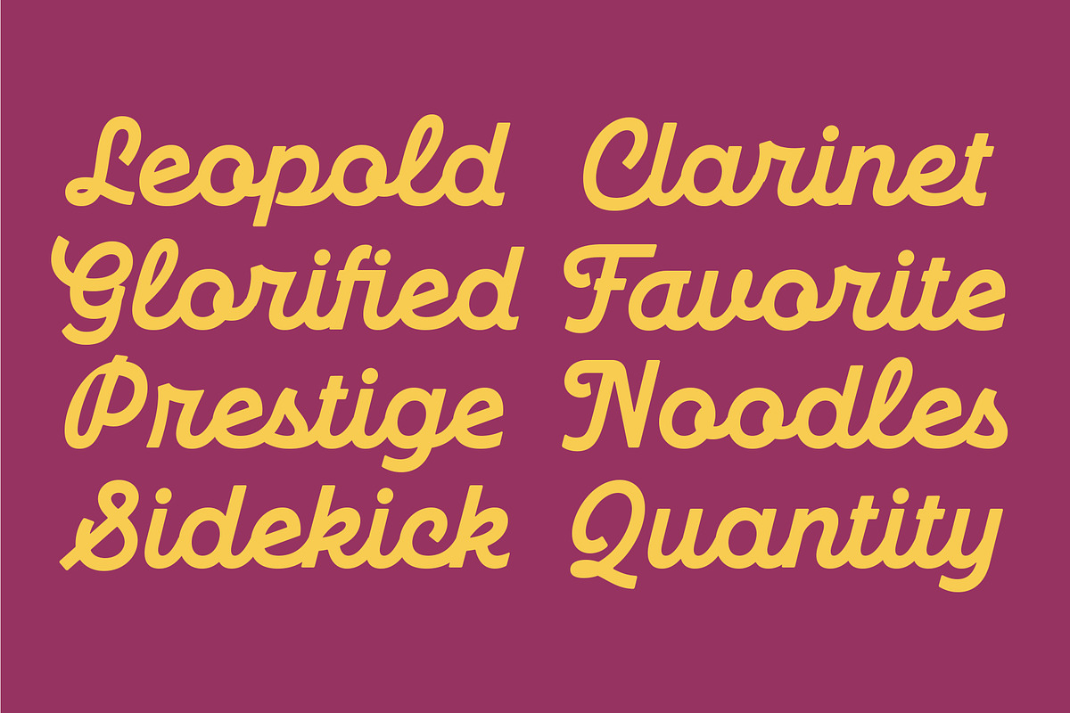 TNSC Phillso - Monoline Script, a Script Font by The Native Saint Club (Photo 12 of 14)