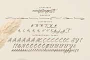 Primrose Essentials Font Duo, a Serif Font by Storytype Studio (Thumbnail 12 of 15)