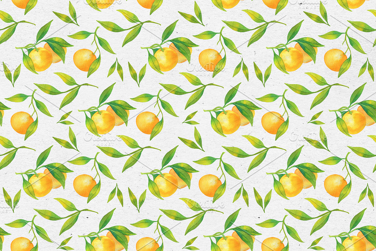 Tangerines. Watercolor collection, a Decorative Illustration by Maria's little shop (Photo 8 of 11)