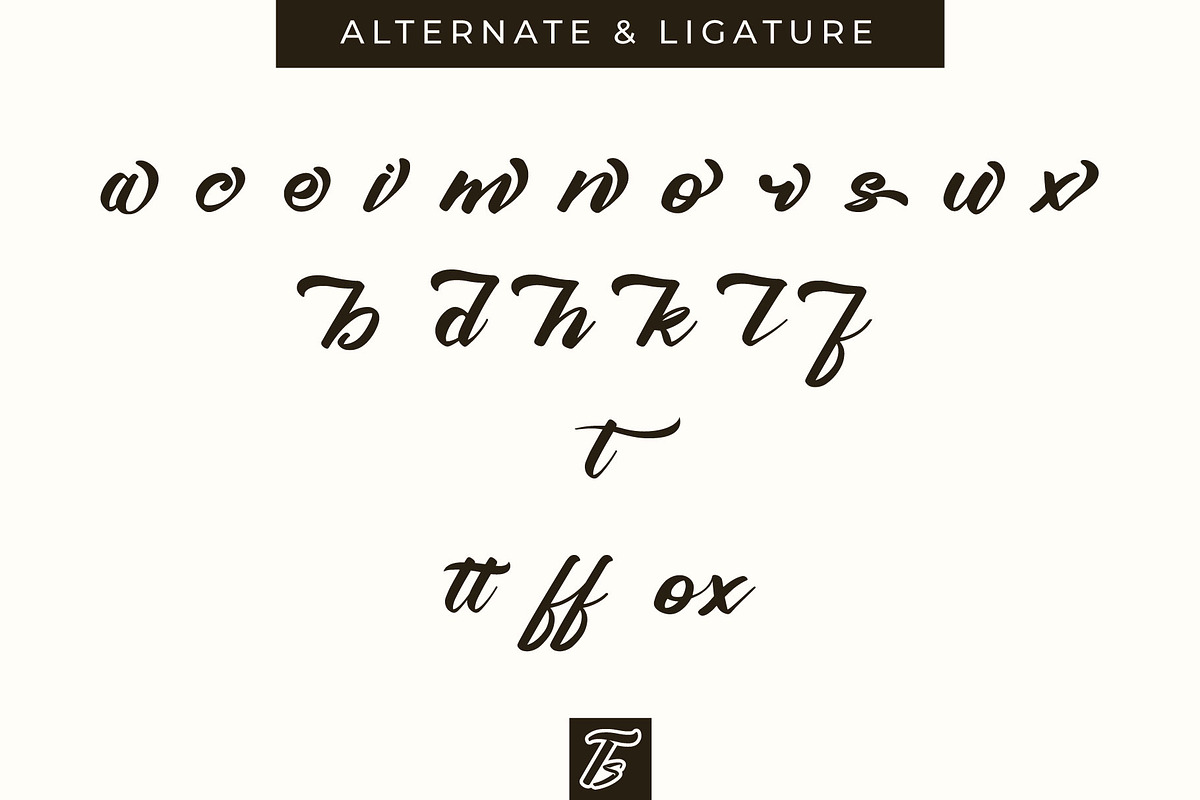 Metanoia - Fancy Font, a Script Font by Typevora Studio (Photo 9 of 11)