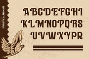 Rustic Vintage - Branding Logo Font, a Serif Font by Nirmana Visual (Thumbnail 10 of 15)