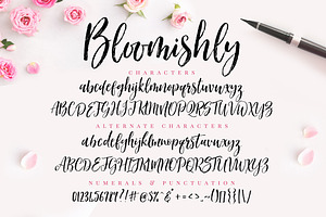 Bloomishly Brush Font