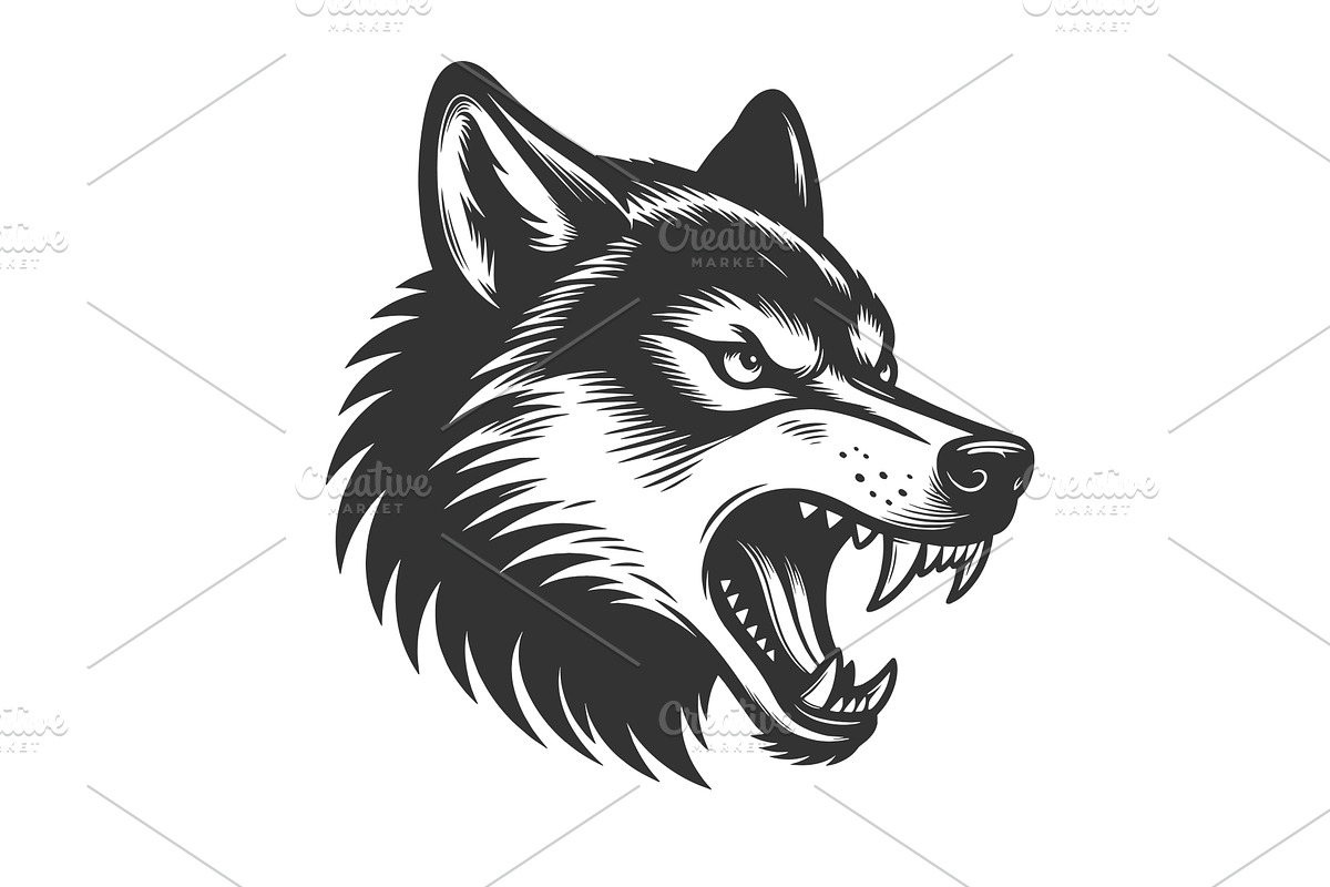 Aggressive Wolf Head Snarling Animal, an Animal Illustration by AlexArt