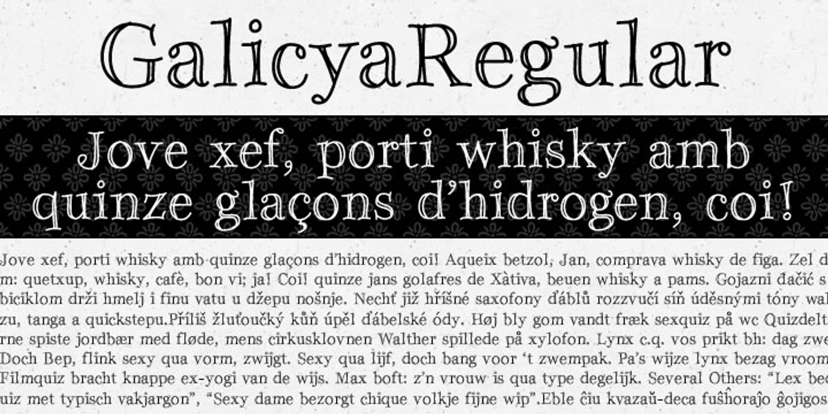 Galicya, a Serif Font by GRIN3 (Nowak) (Photo 2 of 3)