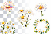 Daisy Flowers Watercolor Clipart Set, a Decorative Illustration by Loony Dream Designs (Thumbnail 2 of 4)