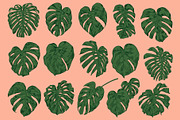 MONSTERA LEAVES, a Decorative Illustration by Tanya Akhmett (Thumbnail 3 of 8)