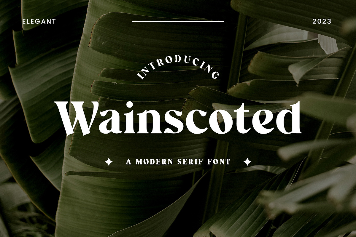 Wainscoted Modern Serif Font, a Serif Font by UICreative (Photo 1 of 12)