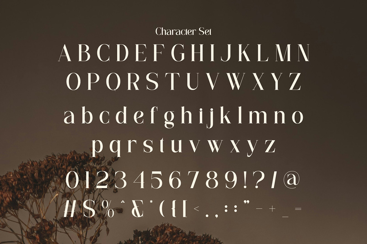 Flarea - Beautiful Serif Font, a Serif Font by Flawless And Co (Photo 9 of 10)