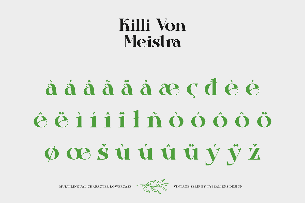 Killi Von Meistra, a Serif Font by ilhamtaro (Photo 10 of 11)