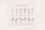 Birth Month Flowers, Botanicals, an Object Graphic by Olya Creative (Thumbnail 1 of 8)