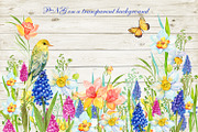 Daffodil  Narcissus  Watercolour, an Illustration by MitrushovaArt (Thumbnail 7 of 7)